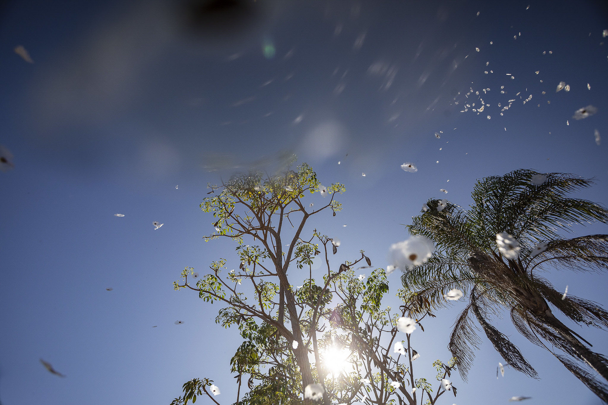 Imagem Restauração Ecológica PA4--28 da expedição de expedicoes/restauracao_25